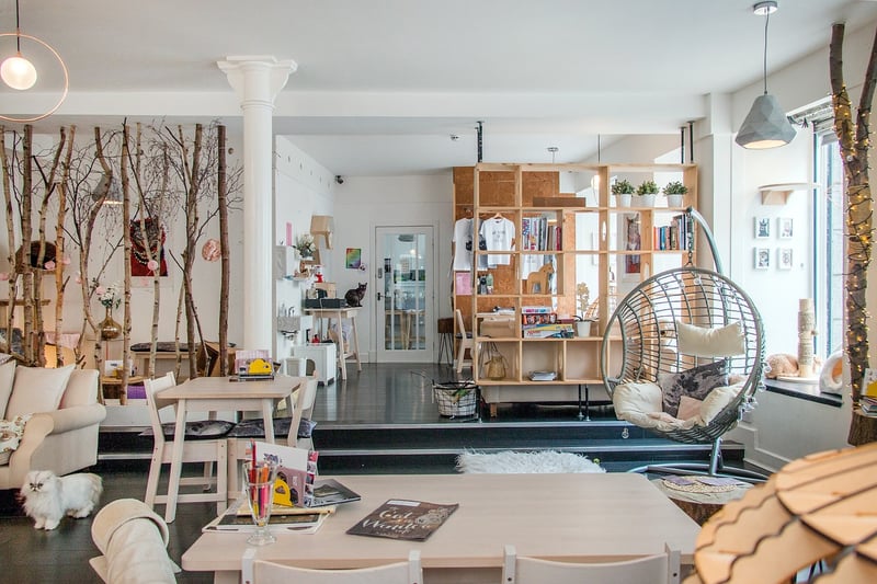 Cozy Cafes